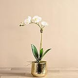 BLOOMR Artificial Gold Texture Potted Orchid Arrangement, Trendy Luxury Silk Fabric Decorative Indoo | Amazon (US)