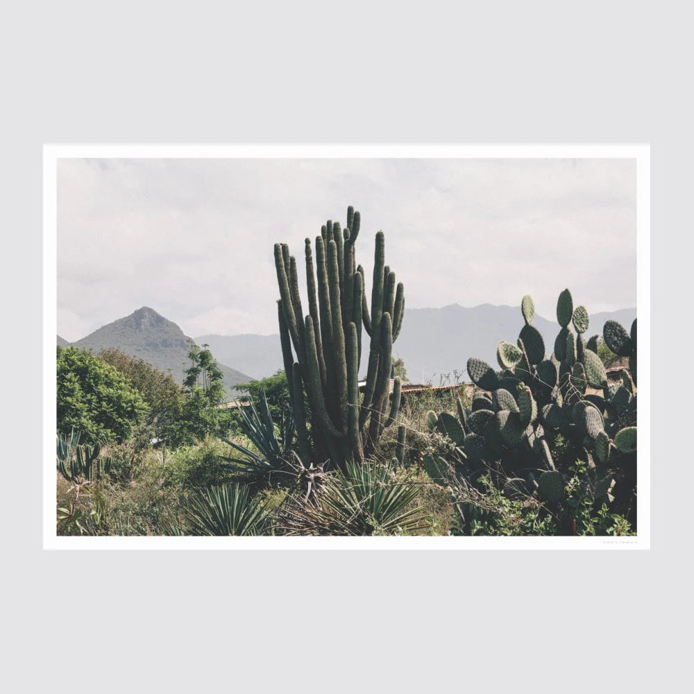 Oaxaca .01 By Andrew Shepherd | The Citizenry