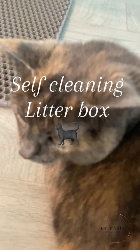 Self cleaning cat litter box 🐈‍⬛
🐈‍⬛ easy to add the litter 
🐈‍⬛ cleans with just a touch of the button 

#LTKVideo #LTKFamily #LTKHome