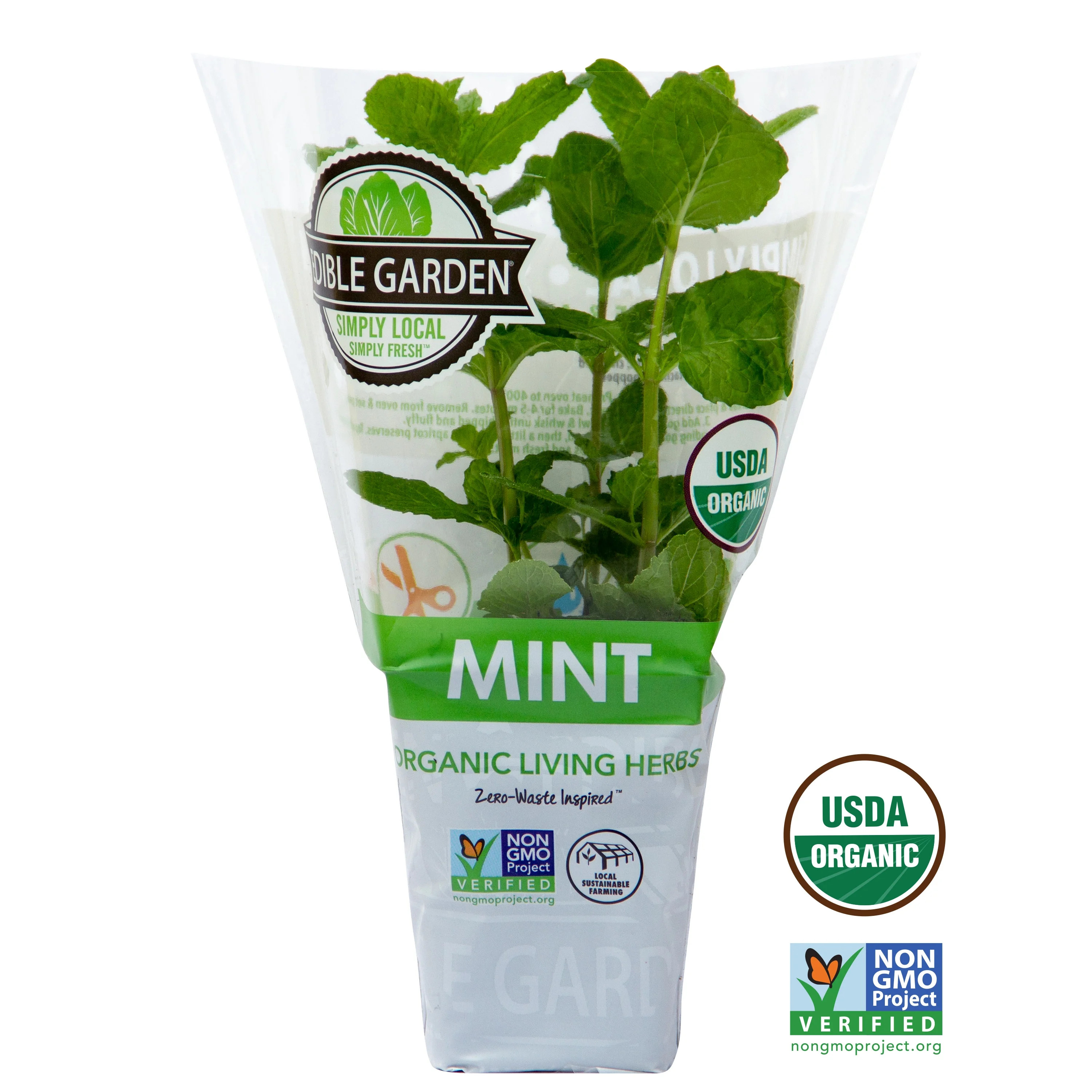 Sprout House Potted Mint Green Herb Plant, 1 Each | Walmart (US)
