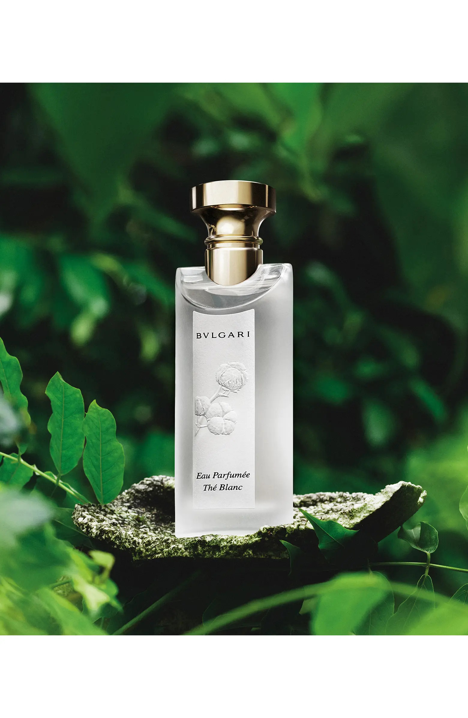 Eau Parfumée thé Blanc Eau de Toilette | Nordstrom