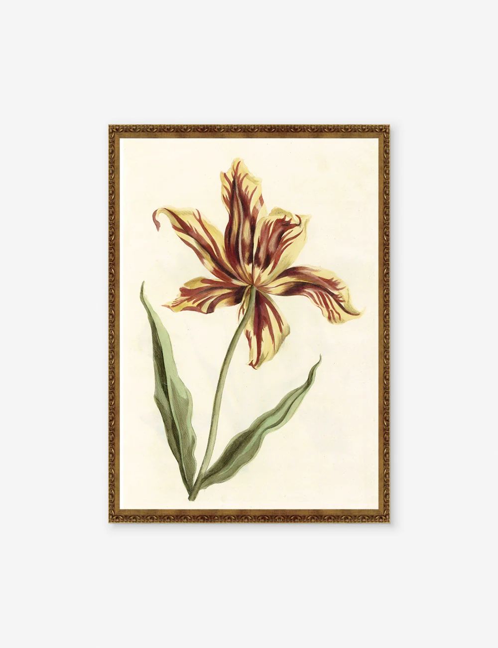 Tulip Print | Lulu and Georgia 