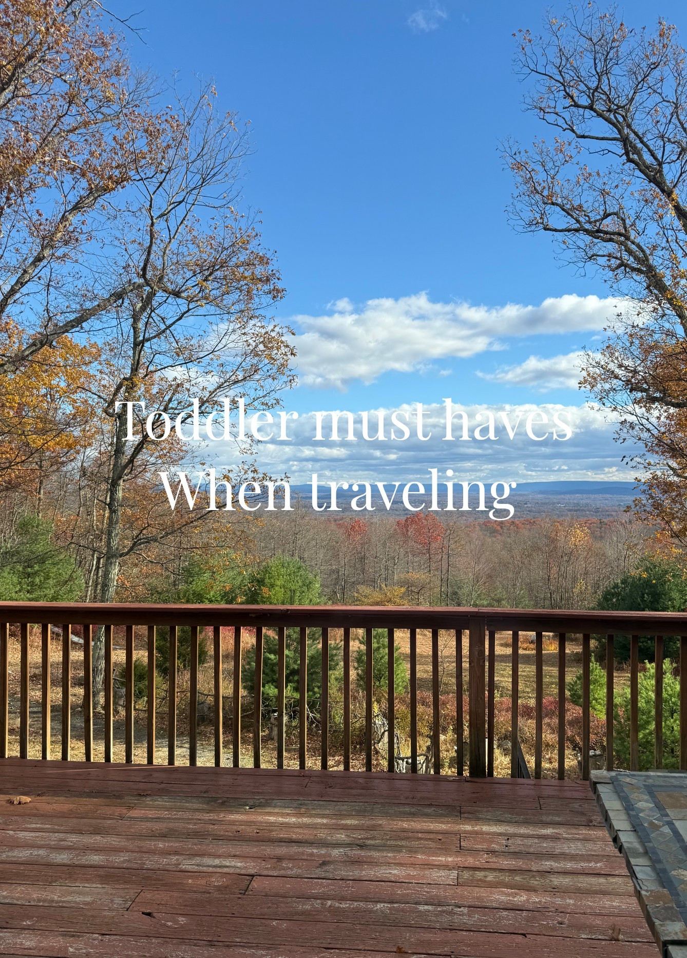 Toddler must haves when traveling! Thanksgiving is coming up and with lots of us traveling I rounded up my favorite must haves to travel with kids 

#LTKFamily #LTKmomlife #LTKTravel