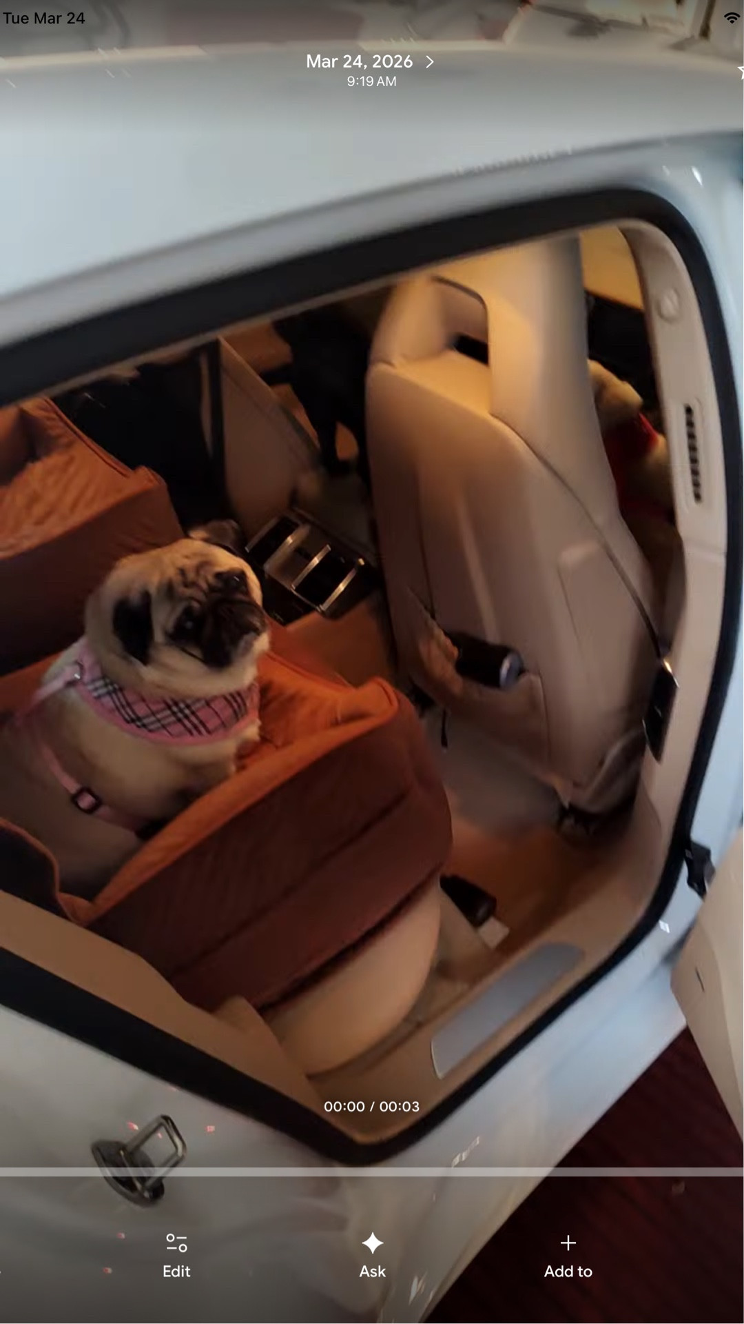 The Pug Squad knows when I say, “Go Bye-Bye,” it’s time to roll.  They love their seat because they are elevated enough for them to see out of, and I love all of the safety straps for proper installation.  Oh…and so many color options to match your cars interior.

https://amzn.to/3NZtwrF

#LTKmomlife #LTKActive #LTKmorningroutine