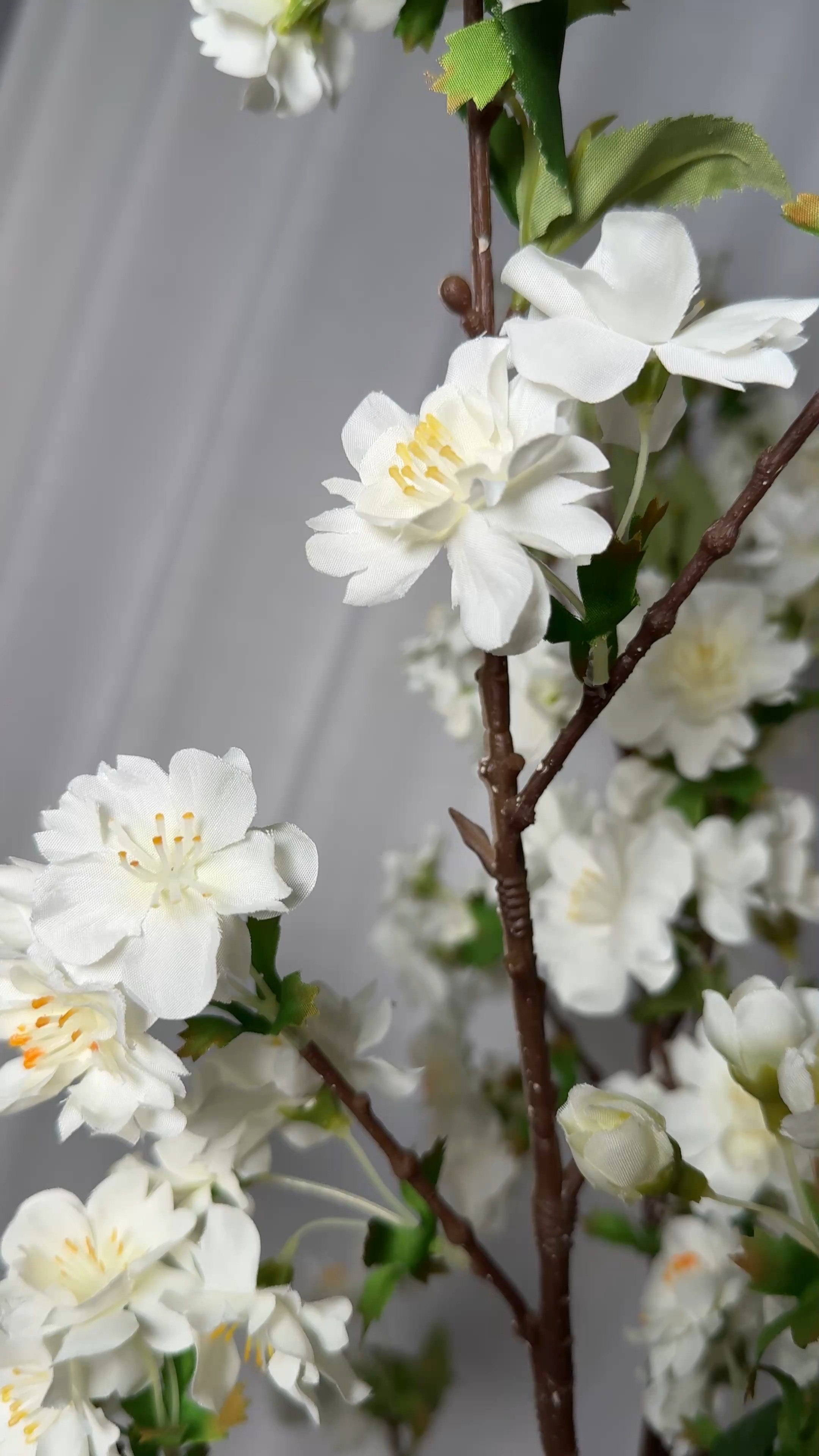 Soft, airy, and timeless 🤍 These white cherry blossom stems instantly elevate any space, no watering required ✨
🛒 Linked all my favorite faux florals & vases on LTK! #LTKHome #CherryBlossomDecor #FauxFlorals 

 #LTKActive #LTKHome #LTKFamily