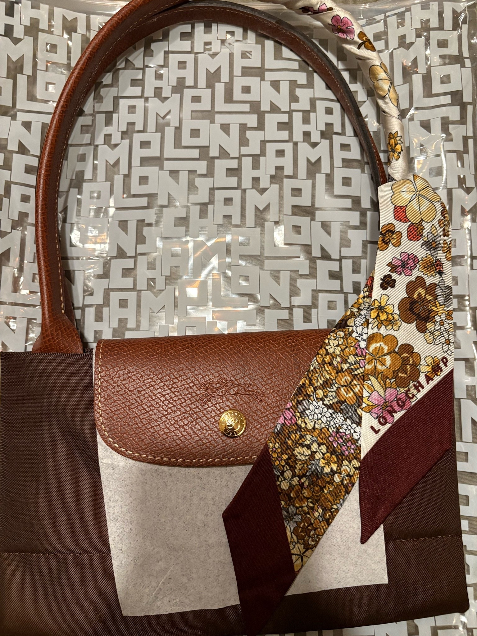 My new mocha bag from Longchamp in size large