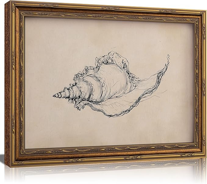 Gold Framed Vintage Canvas Wall Art Seashell Sketch Minimalist Painting Picture Wall Decor Trendy... | Amazon (US)