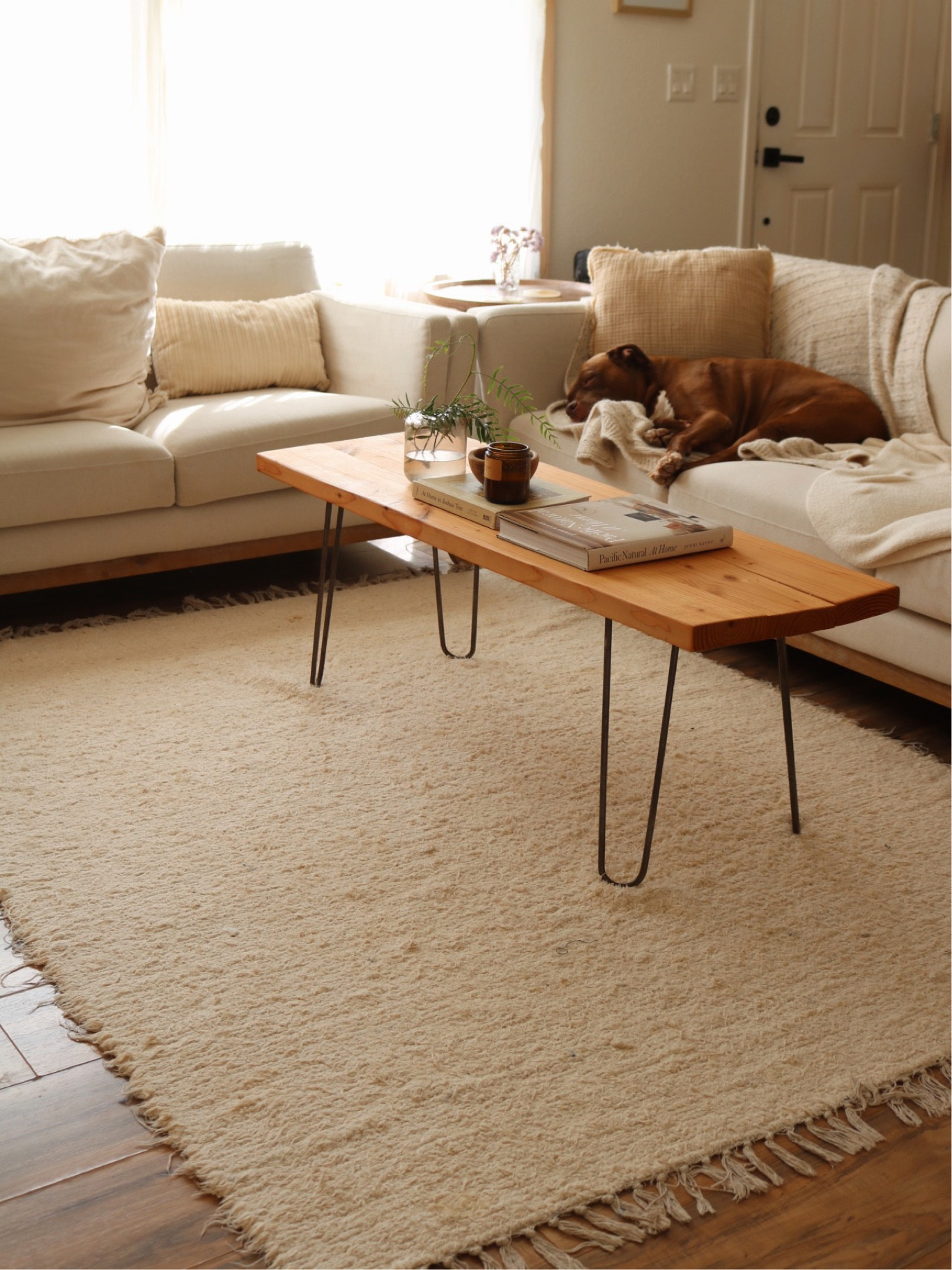 The softest, coziest rug. Safe to say I’m obsessed 

#LTKhome #LTKstyletip