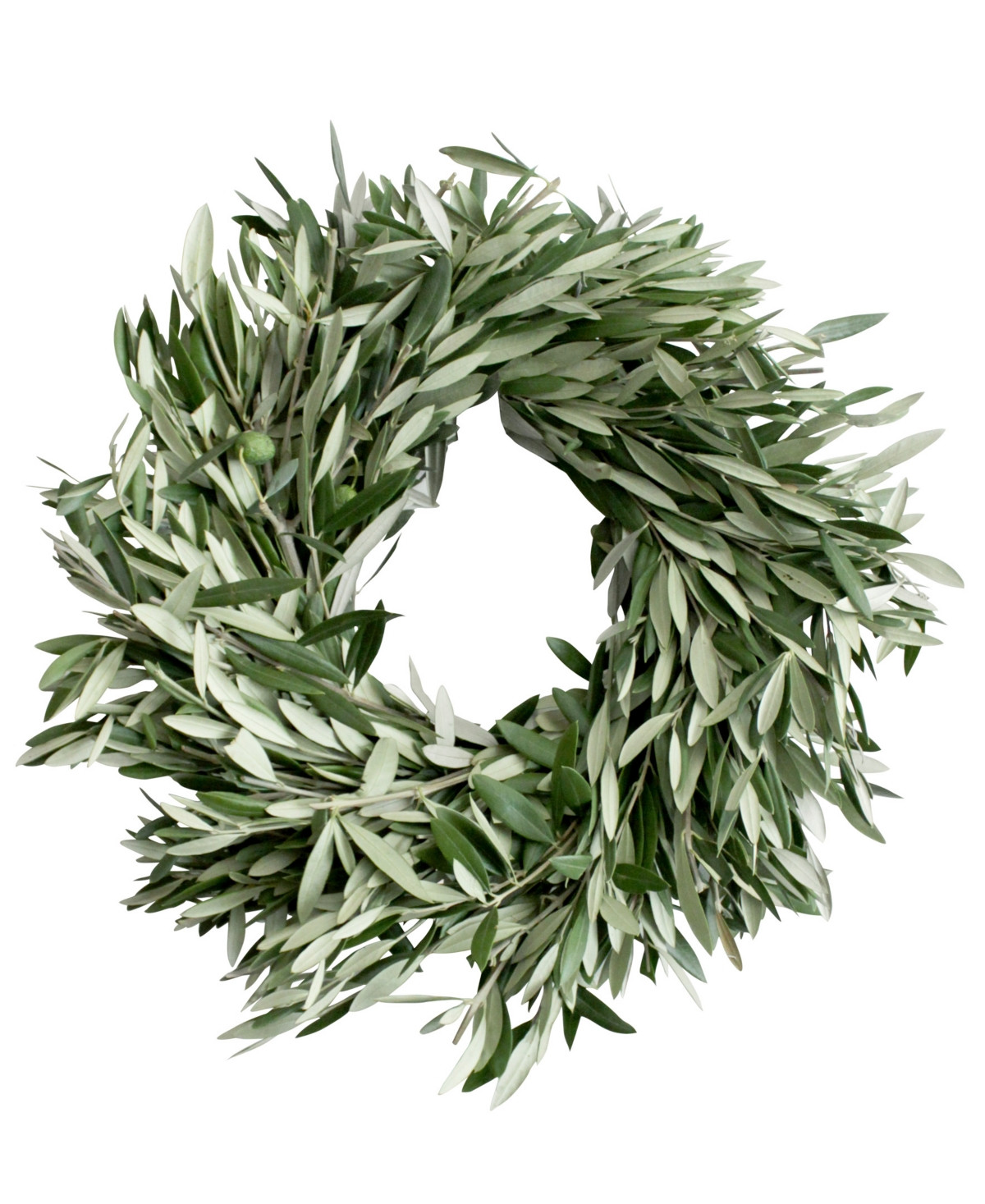 Magnolia Supply Co Fresh Olive Wreath, 20 | Macy's