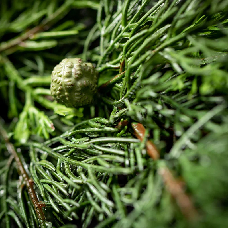 The Holiday Aisle® Bisou 76" Artificial Cypress and Berry Garland & Reviews | Wayfair | Wayfair North America