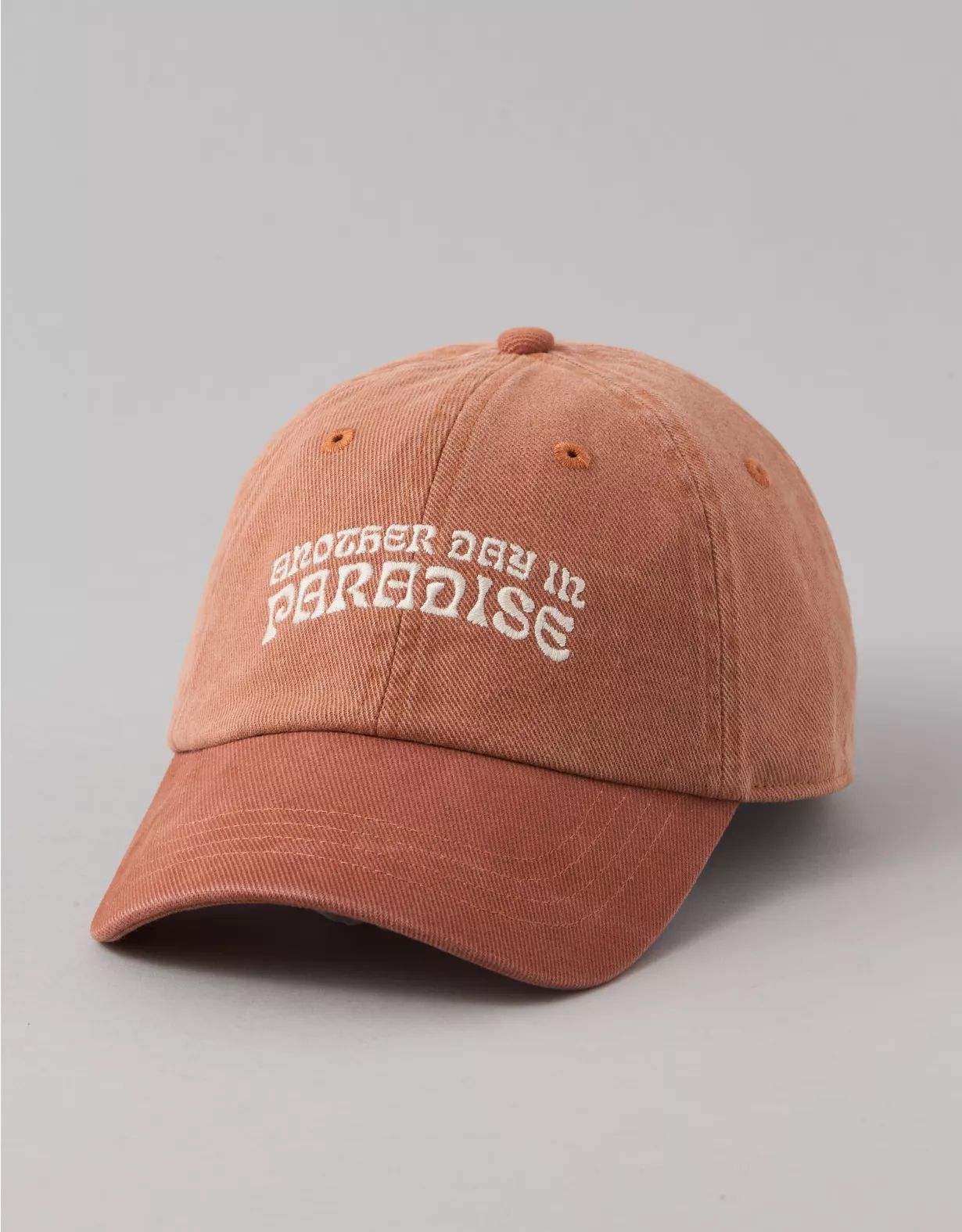 AE Day In Paradise Baseball Hat | American Eagle Outfitters (US & CA)