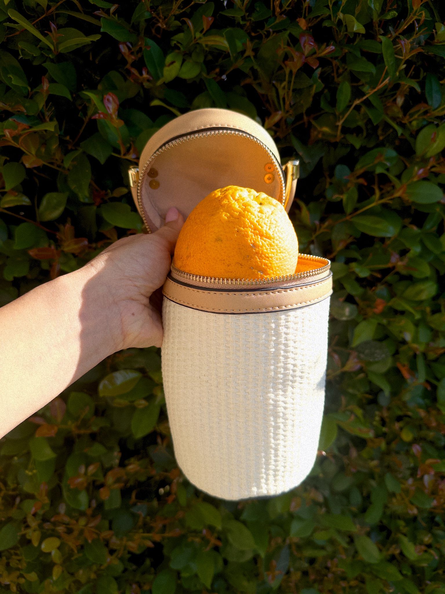 Repurposing my summer vacation purse 🍊 

#LTKFindsUnder100 #LTKFindsUnder50 #LTKSeasonal