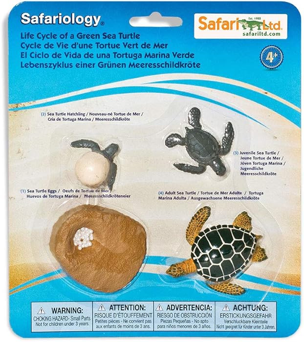 Safari Ltd. Life Cycle of a Green Sea Turtle - Educational Toy Figurines - Miniature Turtle Lifec... | Amazon (US)