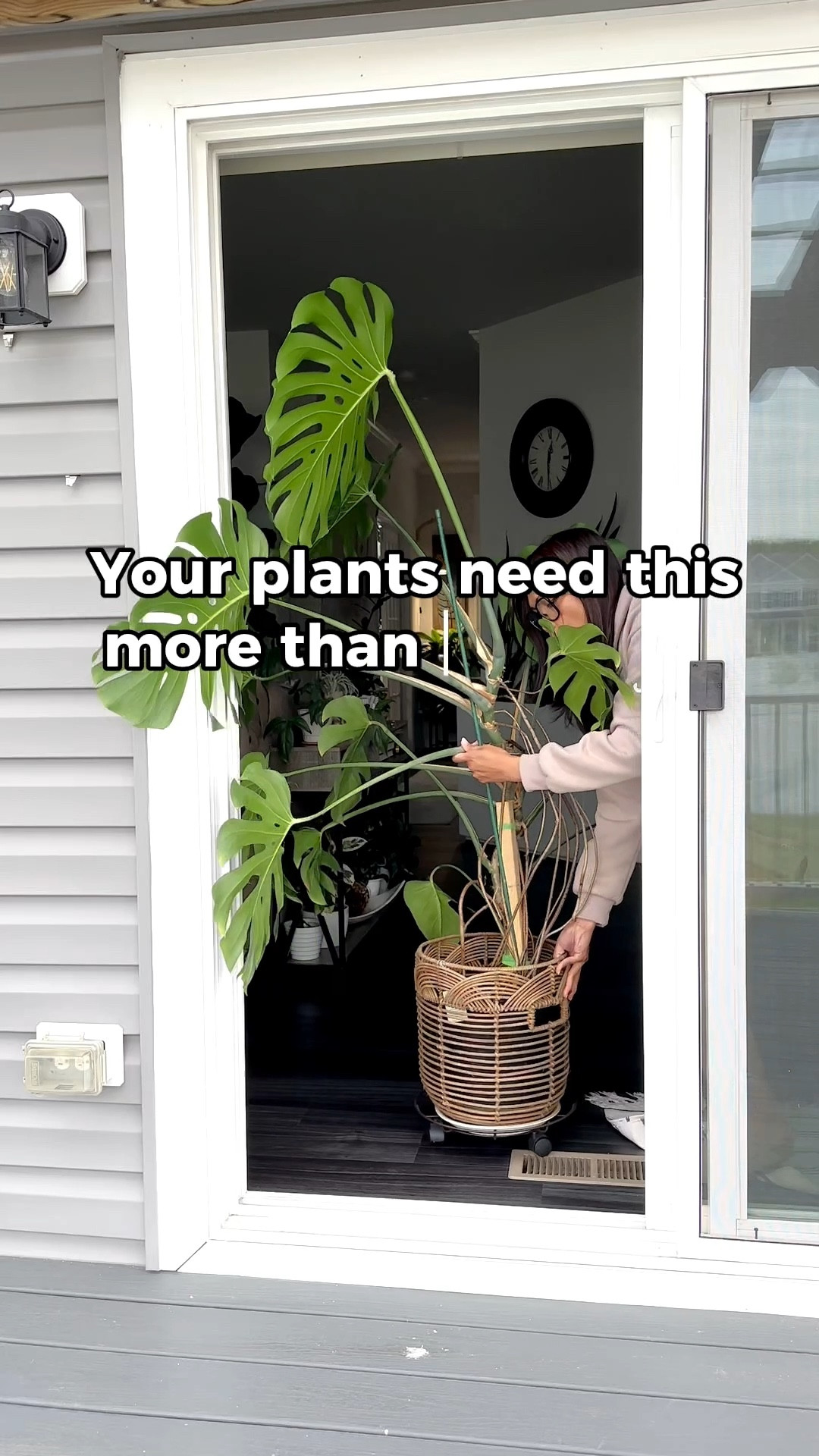 A little shower goes a long way #monstera 

#LTKdayinmylife #LTKHome