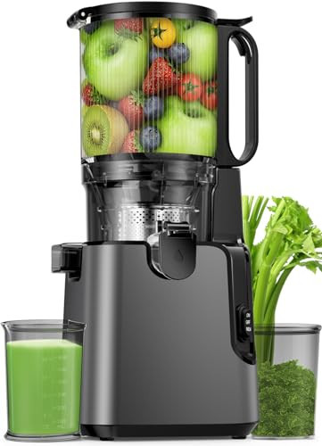 Juicer Machines with 5.8" Large Feed Chute, Cold Press Juicer for Whole Vegetables and Fruits 400W, Slow Masticating juicer Easy to Clean Juice Extractor Machine High Juice Yield | Amazon (US)