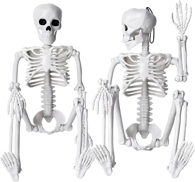 XIMISHOP 2pcs Skeleton Halloween Decoration, 16” Full Body Posable Halloween Hanging Plastic Sk... | Amazon (US)