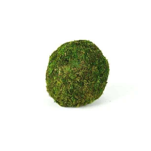 Decorative Moss Ball 4" | Walmart (US)