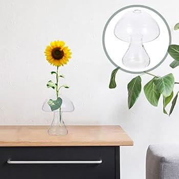 Mushroom Shaped Glass Vase Planters Glass Terrarium Air Plants Containers Succulents Globe Hydrop... | Amazon (US)