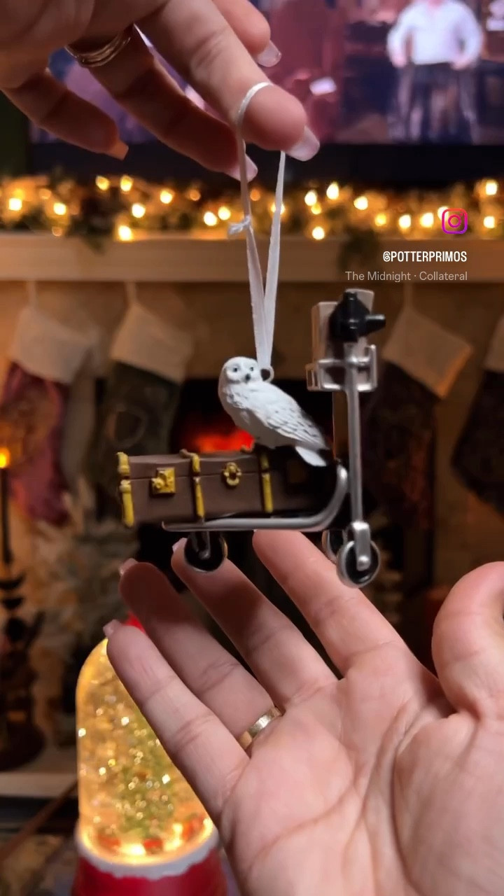Harry Potter Christmas Ornaments

#LTKHoliday #LTKGiftGuide #LTKSeasonal