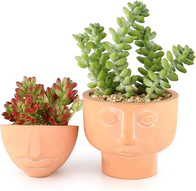 OppsArt Cement Succulent Pots 4 Inch Set of 2, Small Concrete Plant Planter Flower Cactus Contain... | Amazon (US)