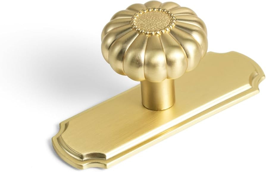Set of 6 - Elegant Golden Bloom Brushed Brass Cabinet Knobs with Backplate, Drawer Pulls for Kitc... | Amazon (US)