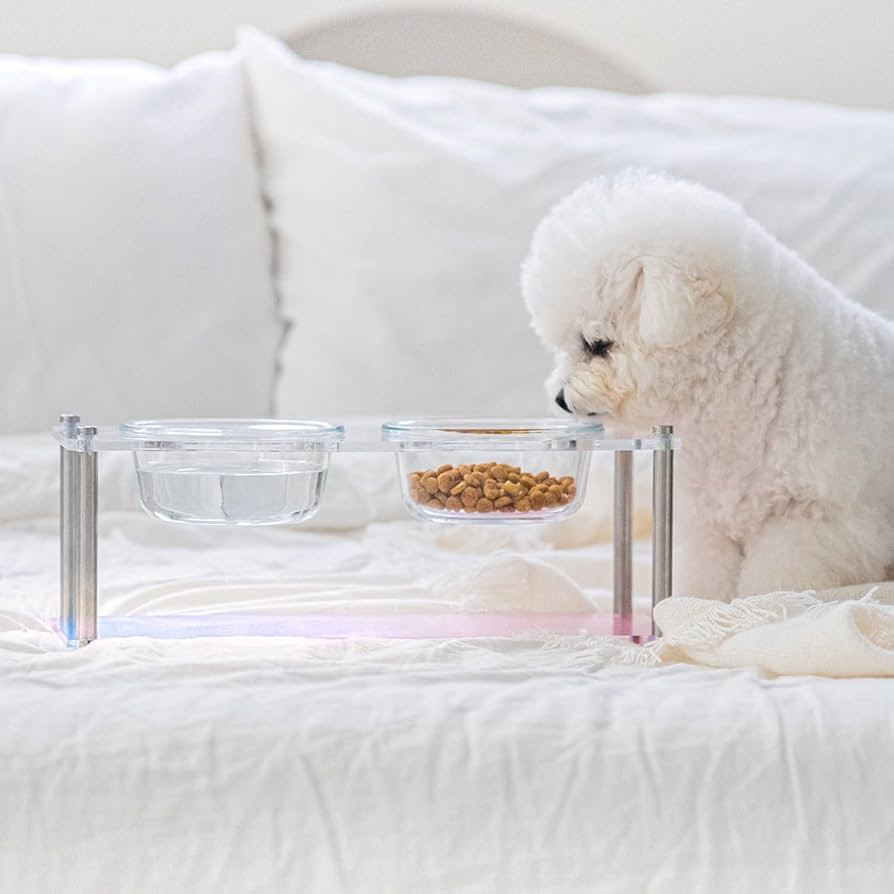 Kamang Acrylic Elevated Dog Bowls Cat Bowls with 2 Height Option - Short 5.2" & Tall 6.5" Pet Fee... | Amazon (US)