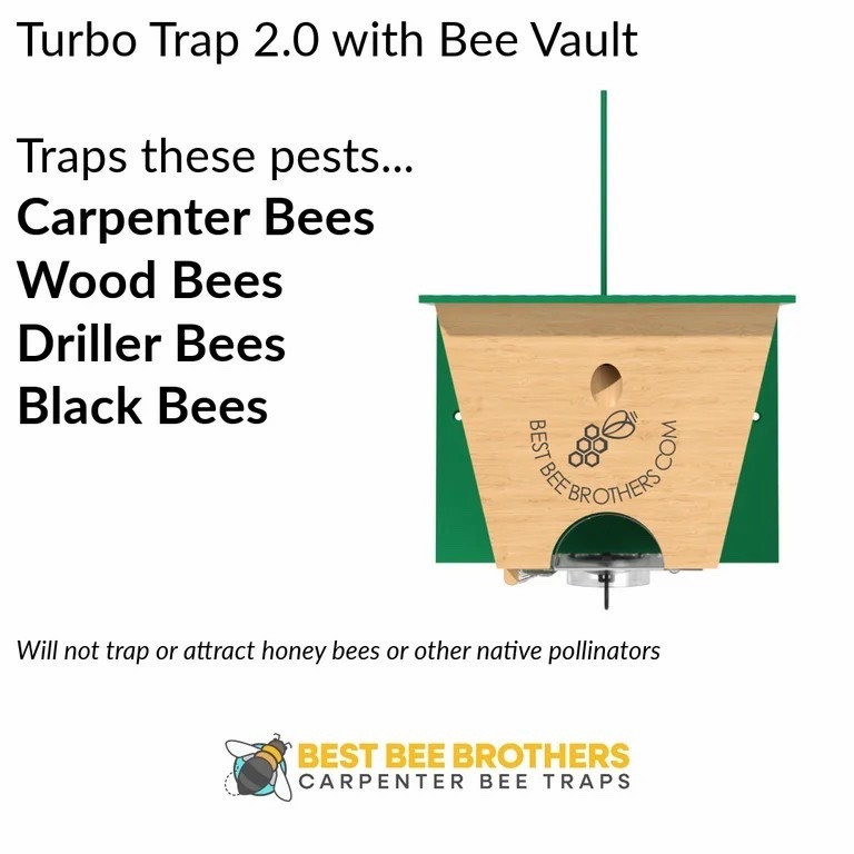 Carpenter Bees bore holes in our porch each spring & we’ve tried everything. These traps are the only thing that works!

#LTKHome