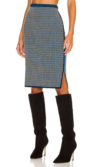 Beatrix Skirt in Tiny Check Dark Ocean | Revolve Clothing (Global)