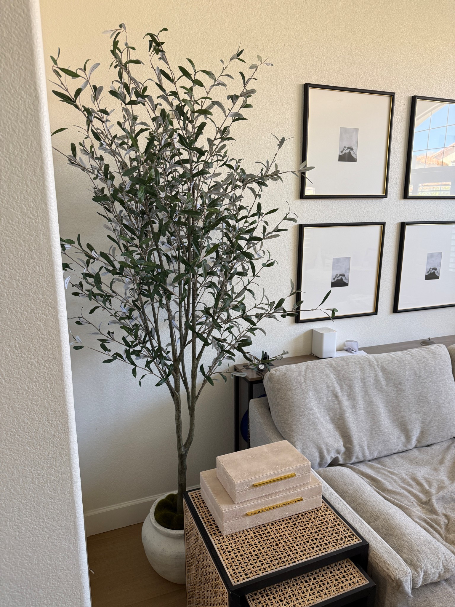 This Studio McGee tree from Target exceeded my expectations! It’s such a cute Target home decor find and I found it on sale too. The olive tree is nice and full and it comes in its own pot, too. 

#LTKHome #LTKOver40