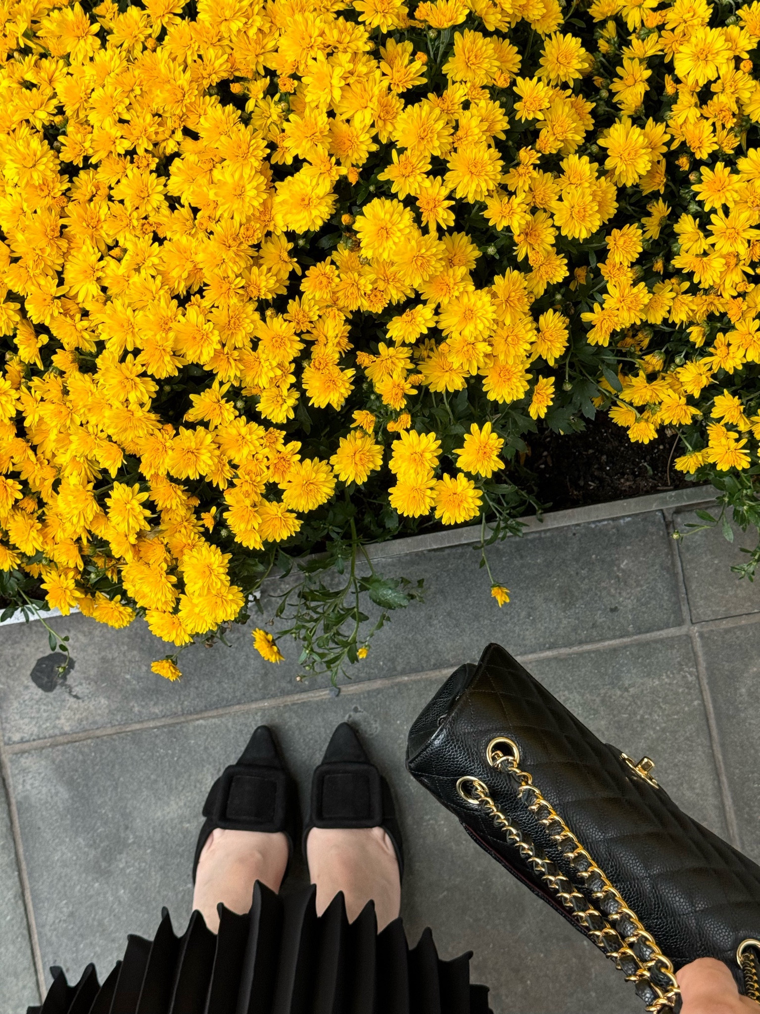 Manolo Blahnik Maysli slingbacks in black suede and Chanel classic flap in black caviar

#LTKstyletip #LTKshoecrush #LTKitbag