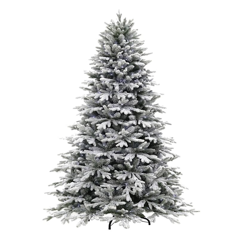 (B16) Pre-Lit LED Flocked Thore Spruce Christmas Tree, 7.5' | At Home