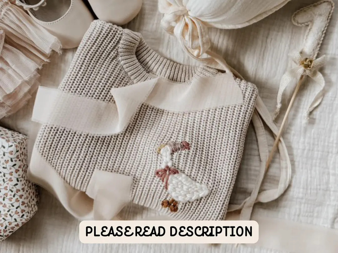 Party Goose Embroidered Sweater, One Silly Goose, Baby Sweaters, Embroidered Kids Sweaters, Birth... | Etsy (US)