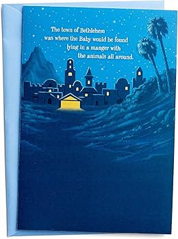 DaySpring - Shepherd on the Search - 8 Interactive Sticker Christmas Boxed Cards | Amazon (US)