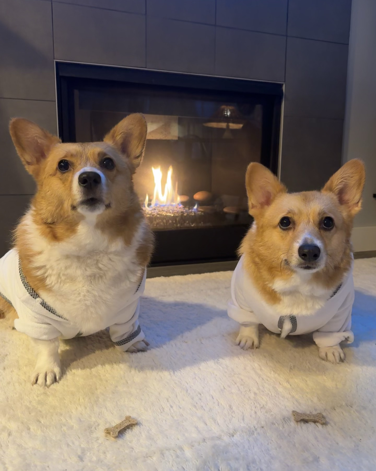 All Clean 🧼 The Girls had a much needed bath, yesterday! 🐶🐶 Swipe to see if they enjoyed it or not…🛁 One things for sure, with their double coats, we gotta towel-dry as much as possible, but then these micro-fiber robes come in HANDY, when we need them to dry-off a little more while we clean up the splish-splashes! 🫧 UNDER $20, comes in multiple colors, our girls are wearing size Large for reference! #LTKPets #dogmomlife 

#LTKmomlife #LTKHome #LTKdayinmylife