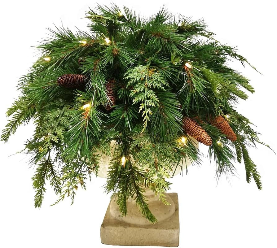 Celestial Lights | Amazon (US)