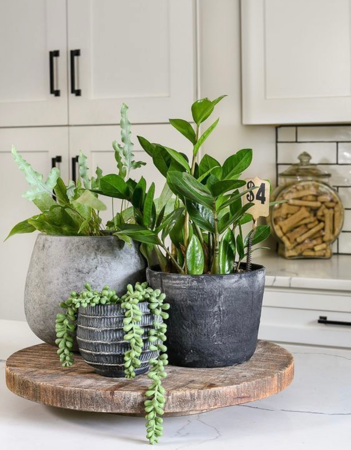 Simple greenery, big impact 🌿
These affordable planters instantly elevate any kitchen, shelf, or entryway and give your space that fresh, styled look.
All pieces are linked in my LTK & Amazon storefront—tap to shop before they sell out!
#AmazonHomeFinds #LTKHome #NeutralHomeDecor #PlantDecor #HomeStyling