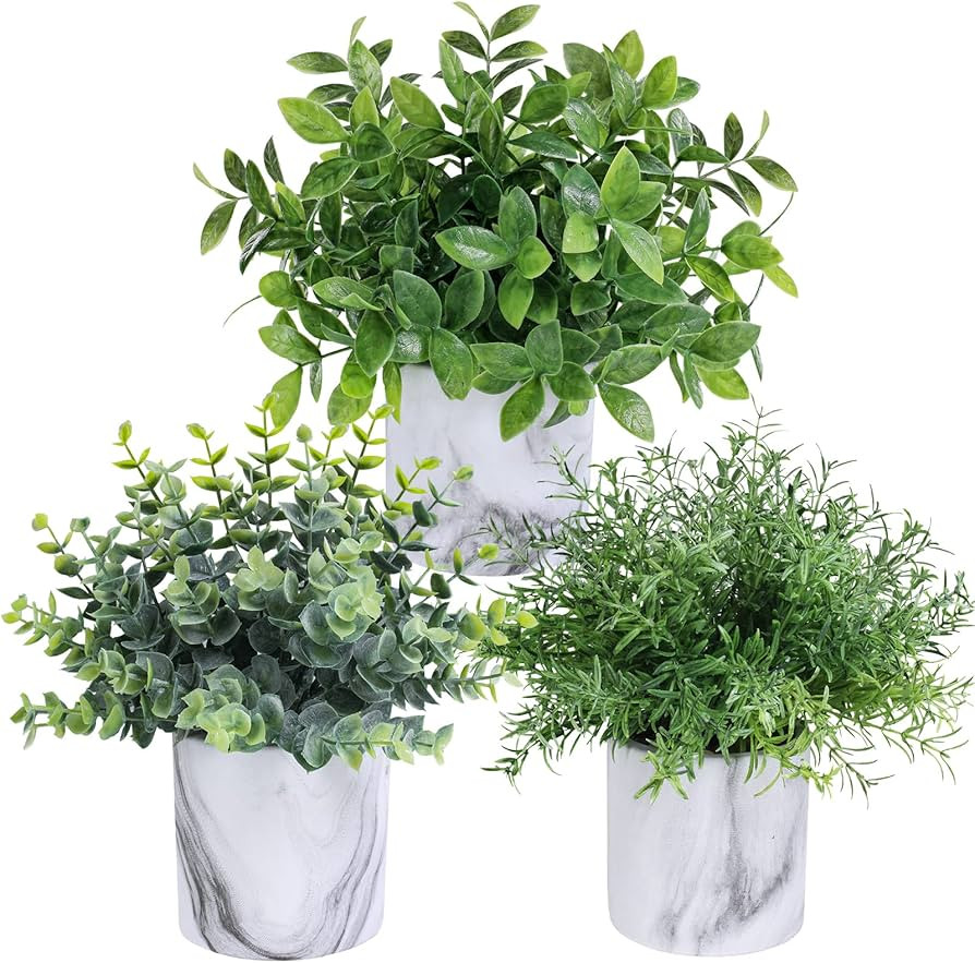 Winlyn Set of 3 Assorted Small Potted Plants Fake Eucalyptus Plants and Rosemary Plant in Gray & ... | Amazon (US)