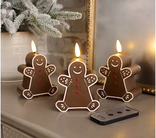 Home Reflections S/3 Flameless Seasonal Figural Candles - QVC.com | QVC
