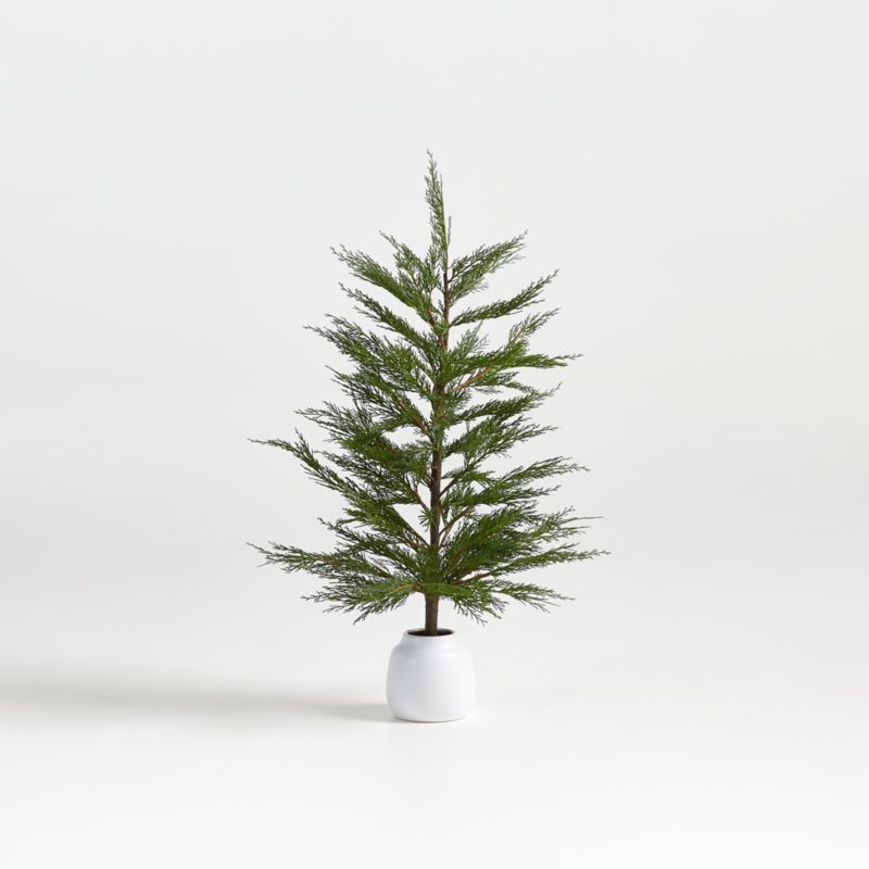 Faux Potted Cypress Tree 33" + Reviews | Crate & Barrel | Crate & Barrel