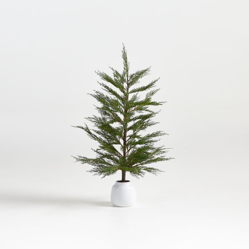 Faux Potted Cypress Tree 33" + Reviews | Crate and Barrel | Crate & Barrel