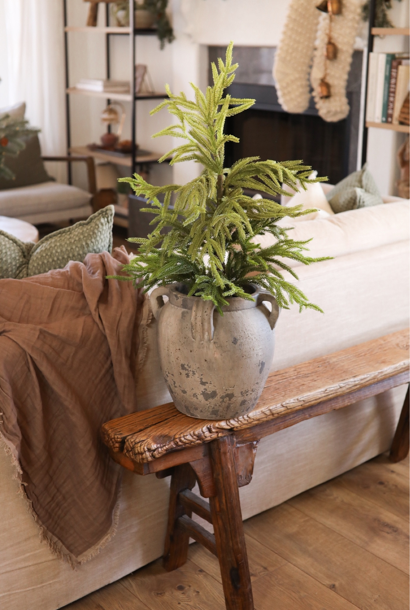 I love the natural, organic look this Norfolk pine tree gives to my space for the holiday season! 🤗🎄#ltkhome #homedecor #christmasdecor #holidaydecor #christmas #rusticdecor 

#LTKhome #LTKSeasonal