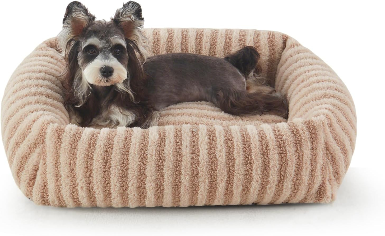 MIXJOY Dog Beds for Small Dogs Cats, Soft Cat Bed for Indoor Cats, Rectangle Pet Bed for Puppy Ki... | Amazon (US)
