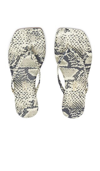 TKEES Square Toe Lily Sandal in Grey. - size 9 | Revolve Clothing (Global)