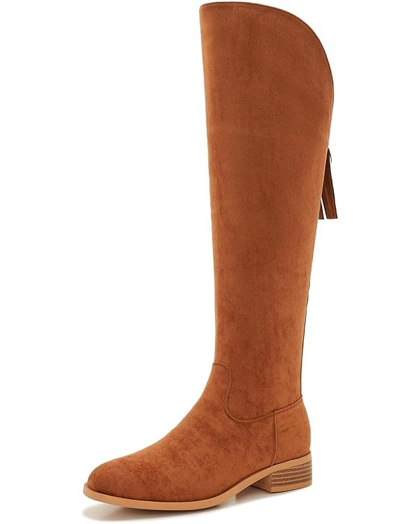 ZXHYZLZ Women's Knee-High Suede Boots with Side Zipper – Low Heel Fall/Winter Riding Boots with... | Amazon (US)