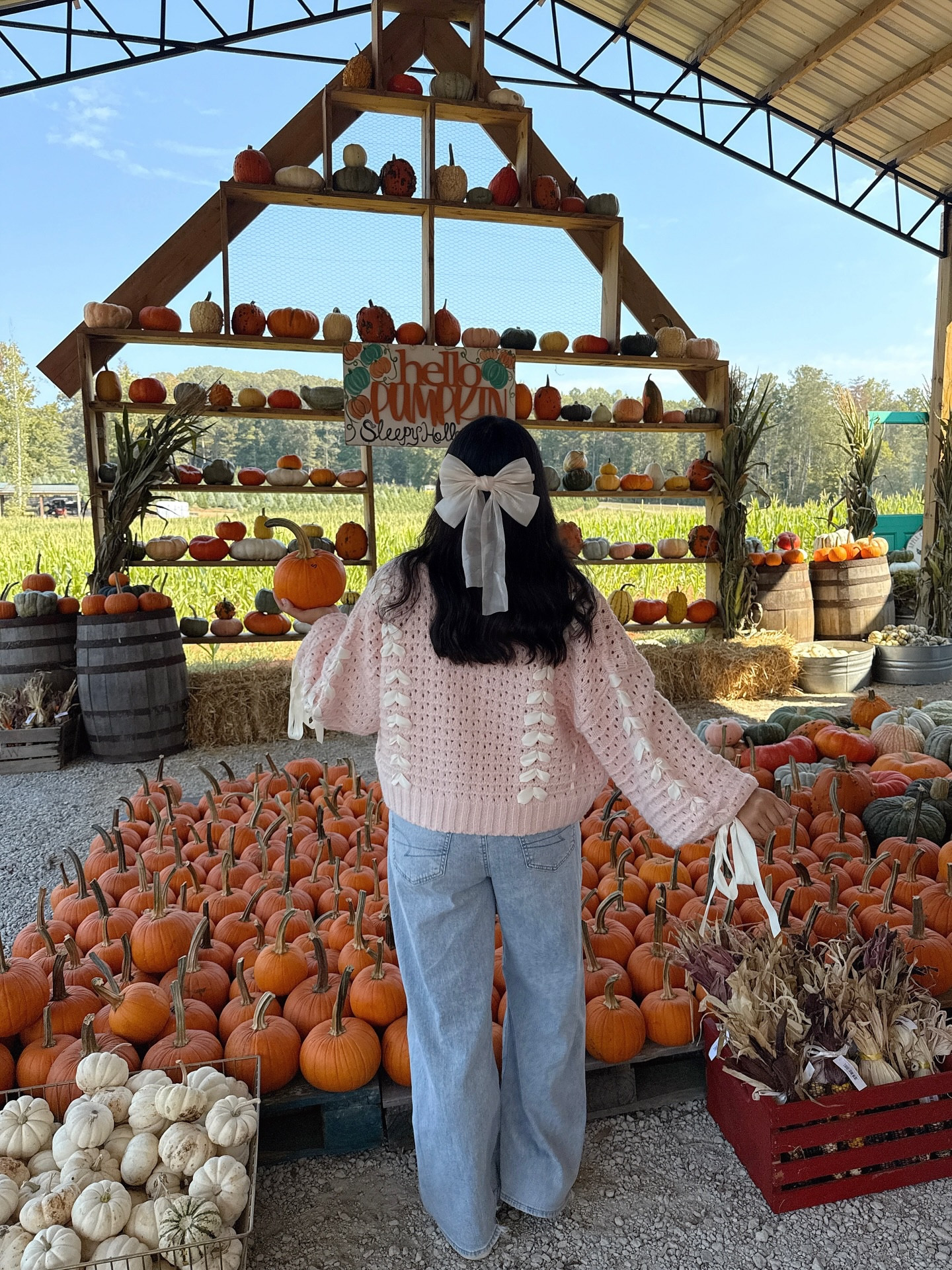 warm and cozy season 🥧🍂🎃

#softgirl #pink #pfg #pinkaesthetic #fall #fallootd #pinkfall