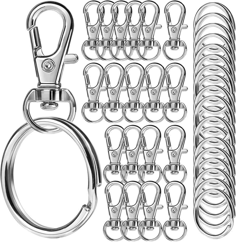 LEOBRO 100PCS Keychain Clip and Key Ring, Lobster Claw Clasps, Keychains, Key Chain Rings and Key... | Amazon (US)