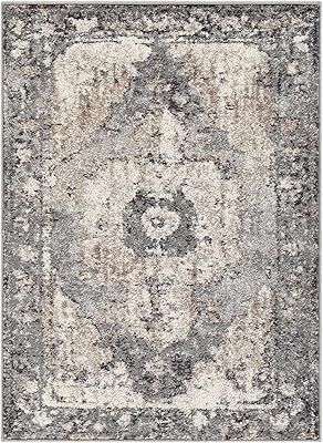 Newalla Bohemian Farmhouse Living Room Bedroom Dining Room Area Rug - Boho Vintage Distressed - P... | Amazon (US)