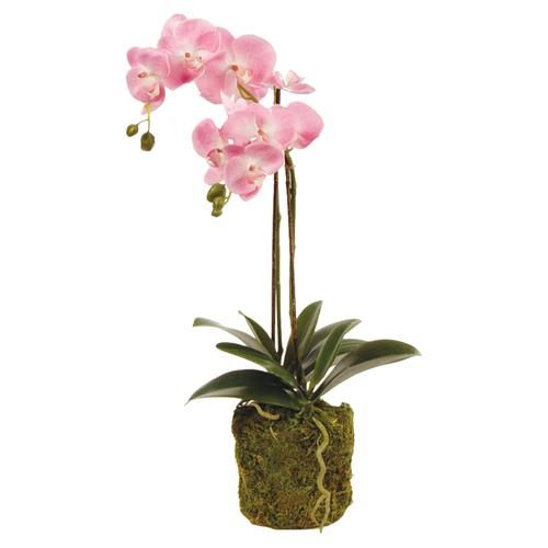 Angel French Country Pink Phalaenopsis Orchid Drop In Faux Floral - Small | Kathy Kuo Home