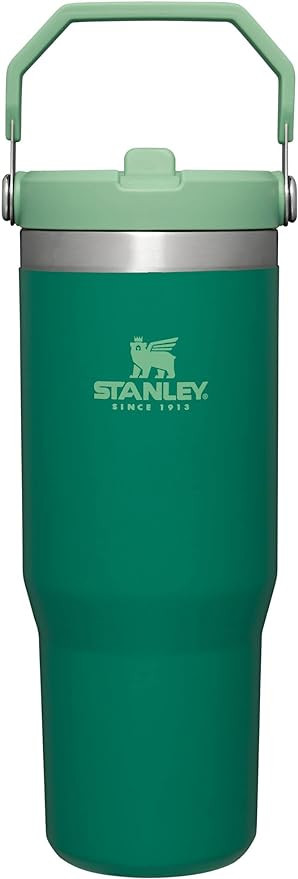 Stanley IceFlow Stainless Steel Tumbler with Straw - Vacuum Insulated Water Bottle for Home, Offi... | Amazon (US)