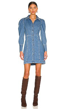 Voluminous Puff Sleeve Dress
                    
                    FRAME | Revolve Clothing (Global)